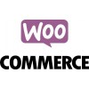Liaison logiciel de caisse / WooCommerce (Wordpress)