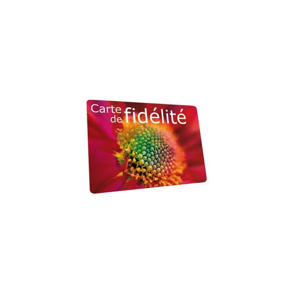 250 cartes de fidélité 